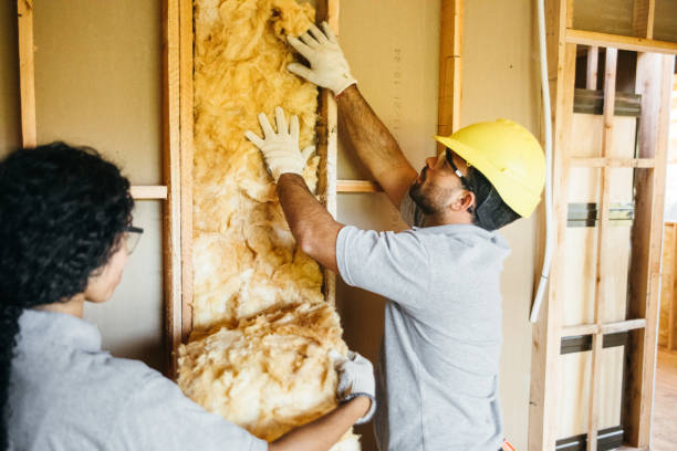 Best Spray Foam Insulation  in Toronto, OH